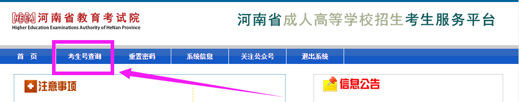 考生号查询